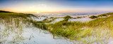 Abendliche Dünenlandschaft am Meer