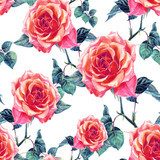 Charmante Rosenillustrationen in Aquarell