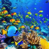 Farbenfrohes Kaleidoskop unter Wasser