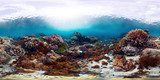 Farbenpracht unter tropischen Wellen