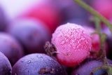 Gefrorene Sommerfrüchte im Makro