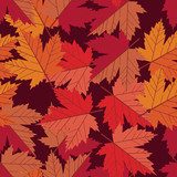 Herbstliche Farbpoesie aus Ahornblättern