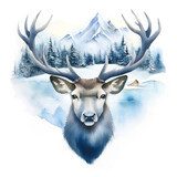 Majestätischer Blick im frostreichen Winterwald