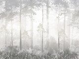 Morgennebel im stillen Wald