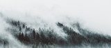 Mystische Bergwaldstimmung