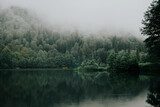 Mystische Ruhe am nebelverhangenen See
