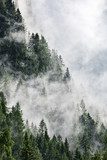 Mystischer Bergwald im Morgennebel