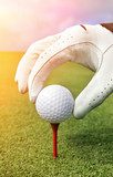 Präzision im Spiel: Golfmotiv für Räume