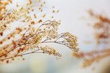 Sanfte Herbstliebe in Pastell