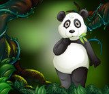 Sanfter Panda im grünen Dschungel
