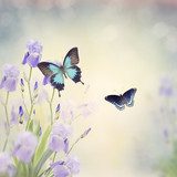 Schwebende Eleganz im Frühlingslicht