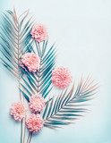 Tropischer Farbkontrast mit rosa Blüten