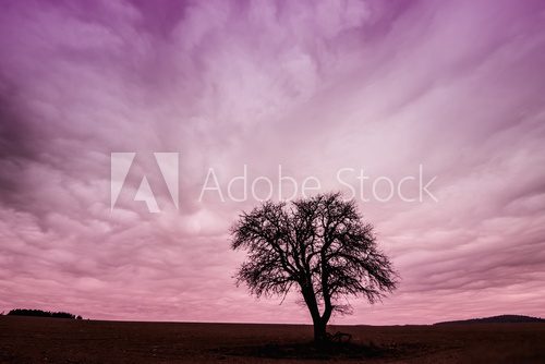 Abendrote Stille unter Wolkenhimmel