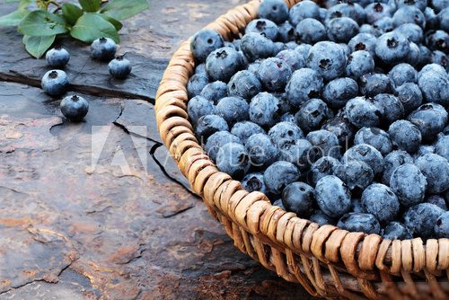 Frische Blaubeeren im Korb