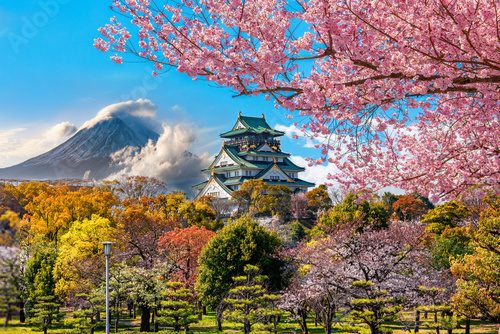 Frühlingserwachen am japanischen Schloss