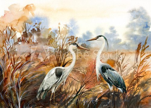 Herbstliche Reiher im harmonischen Farbenspiel
