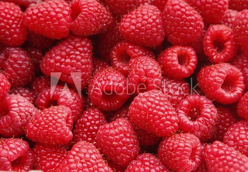 Lebendige Nahaufnahme frischer Himbeeren