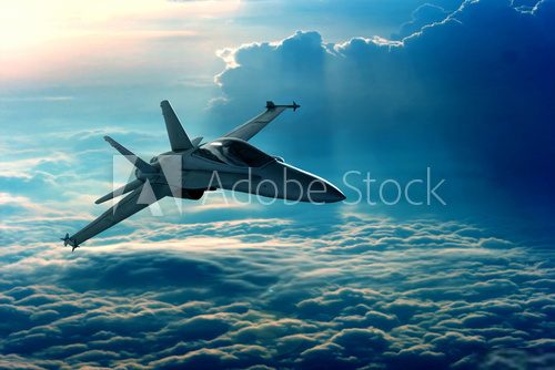 Majestätischer Flug im Sonnenuntergang