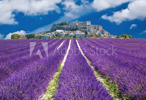 Mediterrane Idylle im Lavendelfeld