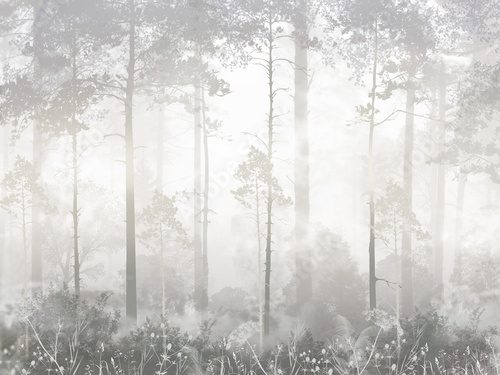 Morgennebel im stillen Wald