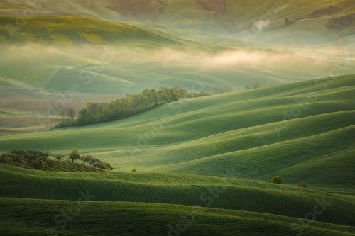 Morgennebel über sanften Hügeln