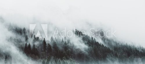 Mystische Bergwaldstimmung