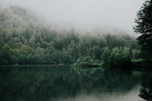 Mystische Ruhe am nebelverhangenen See