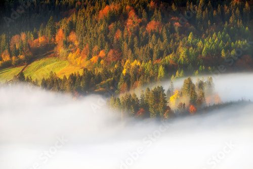 Neblige Herbstlandschaft am Morgen