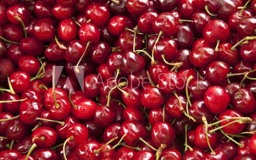 Sommerliche Fülle roter Kirschen