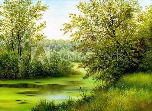 Sommerliche Waldidylle am stillen See