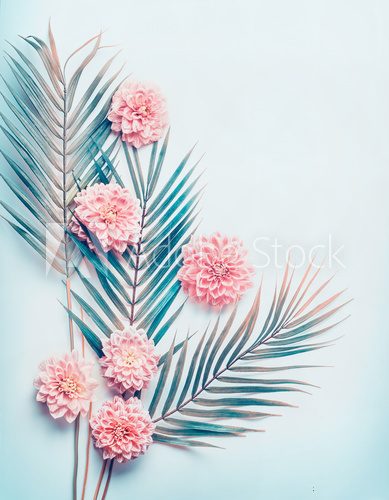 Tropischer Farbkontrast mit rosa Blüten