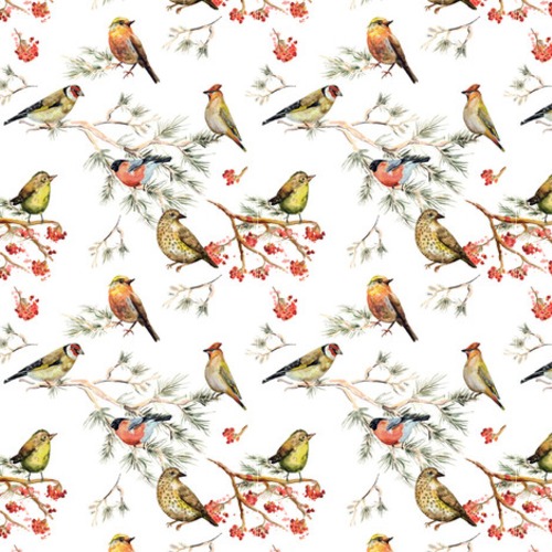 Frühlingshafte Vogelpoesie