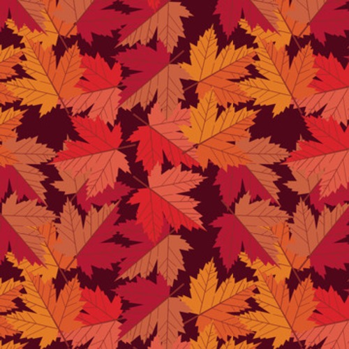 Herbstliche Farbpoesie aus Ahornblättern