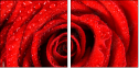 112923652