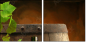 13276134
