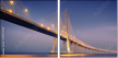149714558