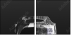 280625881