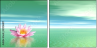 29216817