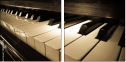 30665978