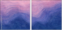 311512556