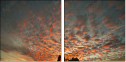 32897630