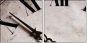 3950638