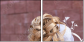 43471205
