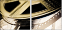 4558020