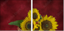 45812888