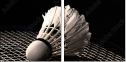 47111850