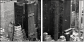49412199