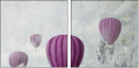 51047463