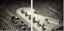 51861338