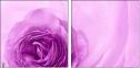 52109021